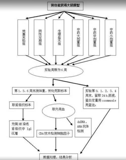 23個可編輯技術(shù)路線圖模板與繪制技巧 含國自然九大熱點(diǎn)領(lǐng)域應(yīng)用指南