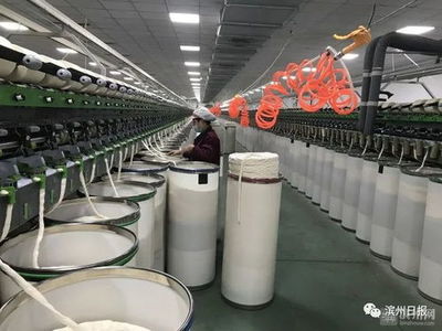 棉花堂家紡工廠網絡聯系方式與地址查詢指南
