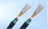 焦作鐵路電纜工廠 漏泄同軸電纜產(chǎn)品信息與批發(fā)優(yōu)勢(shì)